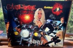 1996 Gottlieb Barb Wire Pinball Translite For Machine Dark Horse Comic 20x25