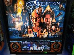 Frankenstein Pinball By Stern 1995 With Colour Display