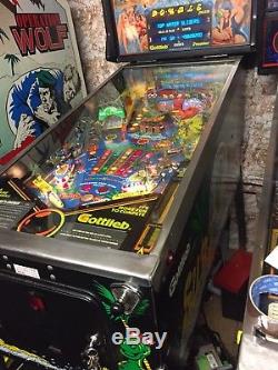 Pinball machine Surf N Safari Arcade Coin Op