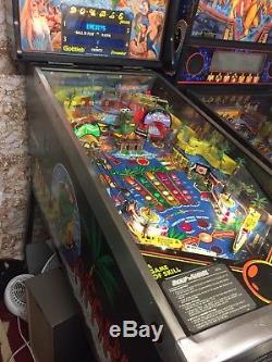 Pinball machine Surf N Safari Arcade Coin Op