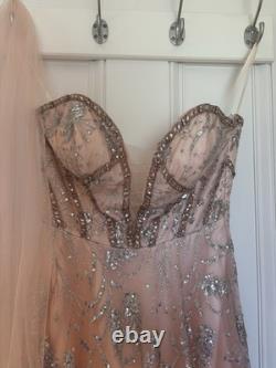 Stunning Sequin Evening Gown Nude/Blush with Silver Embellishment Size 10