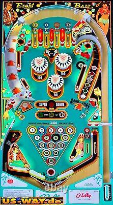 VP-60 Virtual Pinball Flipper 49 4K 120Hz Virtual Flipper Force Feedback