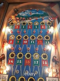 Carioca Beach Bingo Pinball Machine
