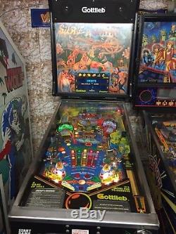 Flipper Surf N Safari Arcade Coin Op