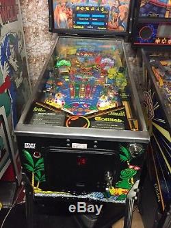 Flipper Surf N Safari Arcade Coin Op