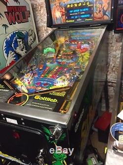 Flipper Surf N Safari Arcade Coin Op