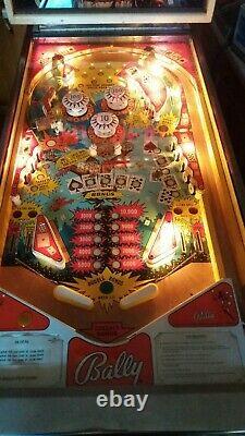 Hi Deal Flipper, Bally, Pintable