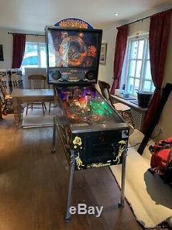 Hurricane Pinball Machine