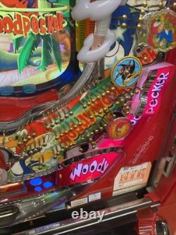 Machine à Pachinko Woody Wood Pecker, Cabinet Autonome, 1100 Boules, Plateau de Salon