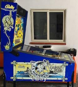 Pinball Bally Gilligan's Insland 1991 Full Led Conversion Spectacular Used