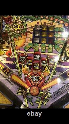 Ripleys Le Croient Ou Pas Pinball Machine